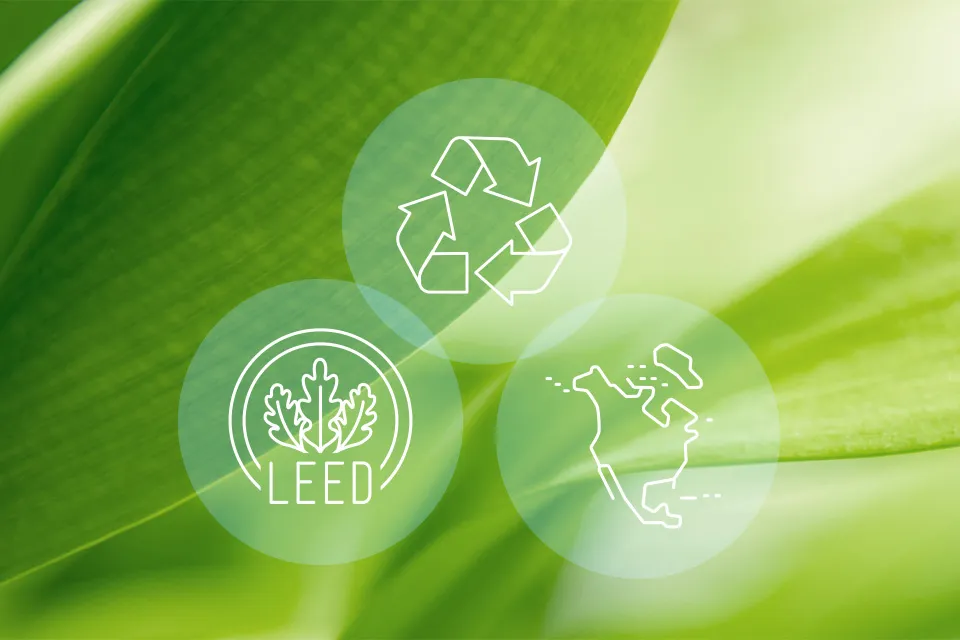 3 icons and closeup of green leaf
