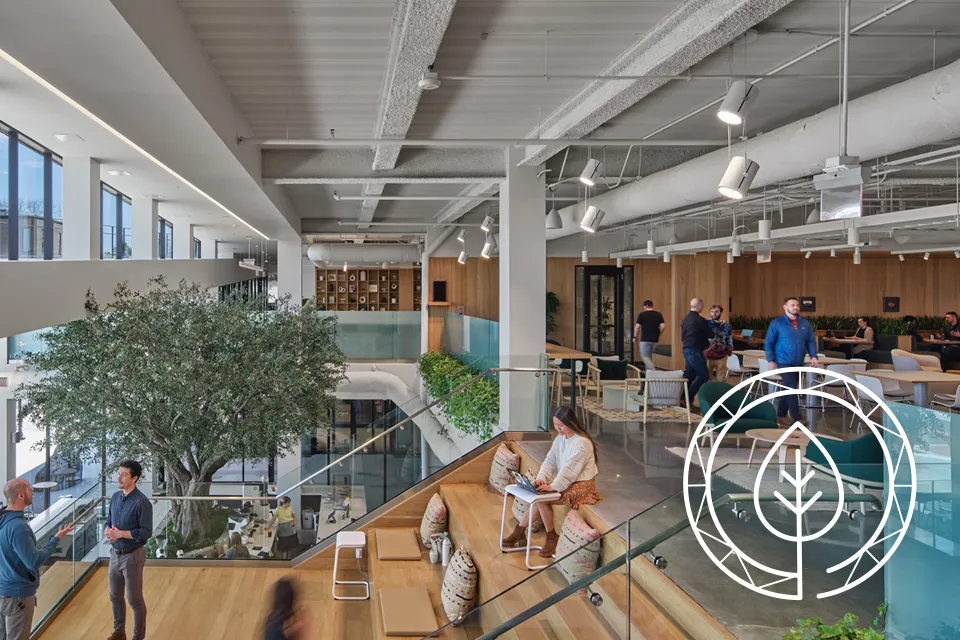 Multi-story office with Versa-dek®