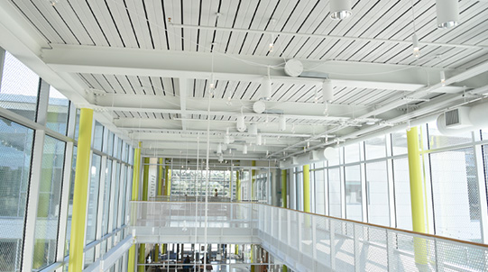 Louisiana Children’s Museum