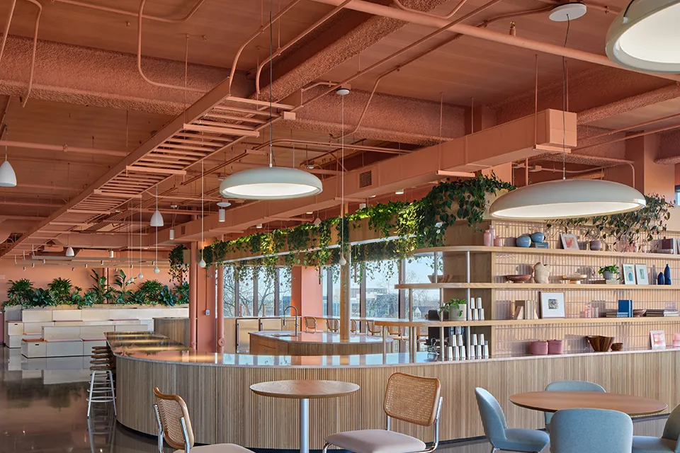 B-dek cellular acoustical cafeteria