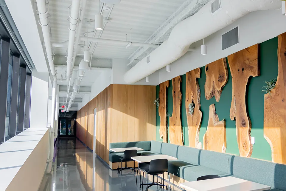 N-dek Cellular Acoustical Hallway